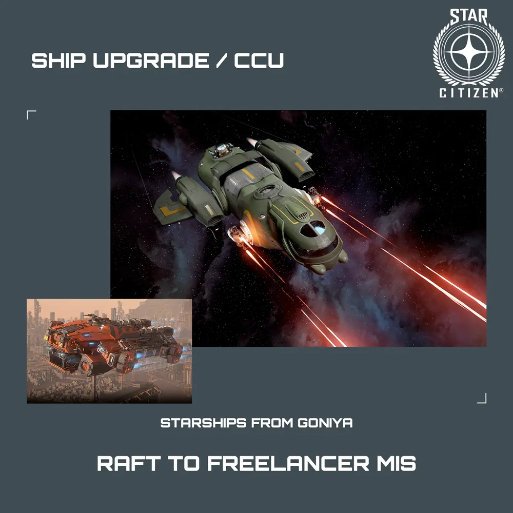 Raft to Freelancer MIS