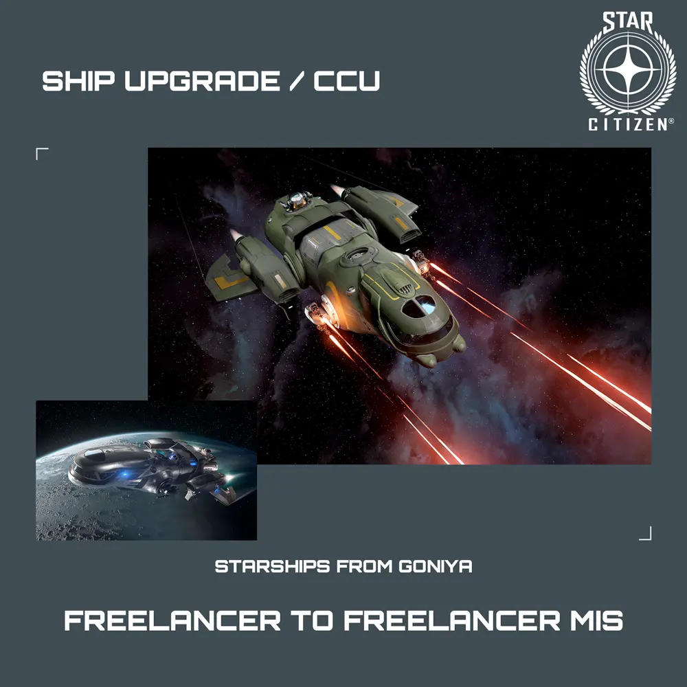 Freelancer to Freelancer MIS