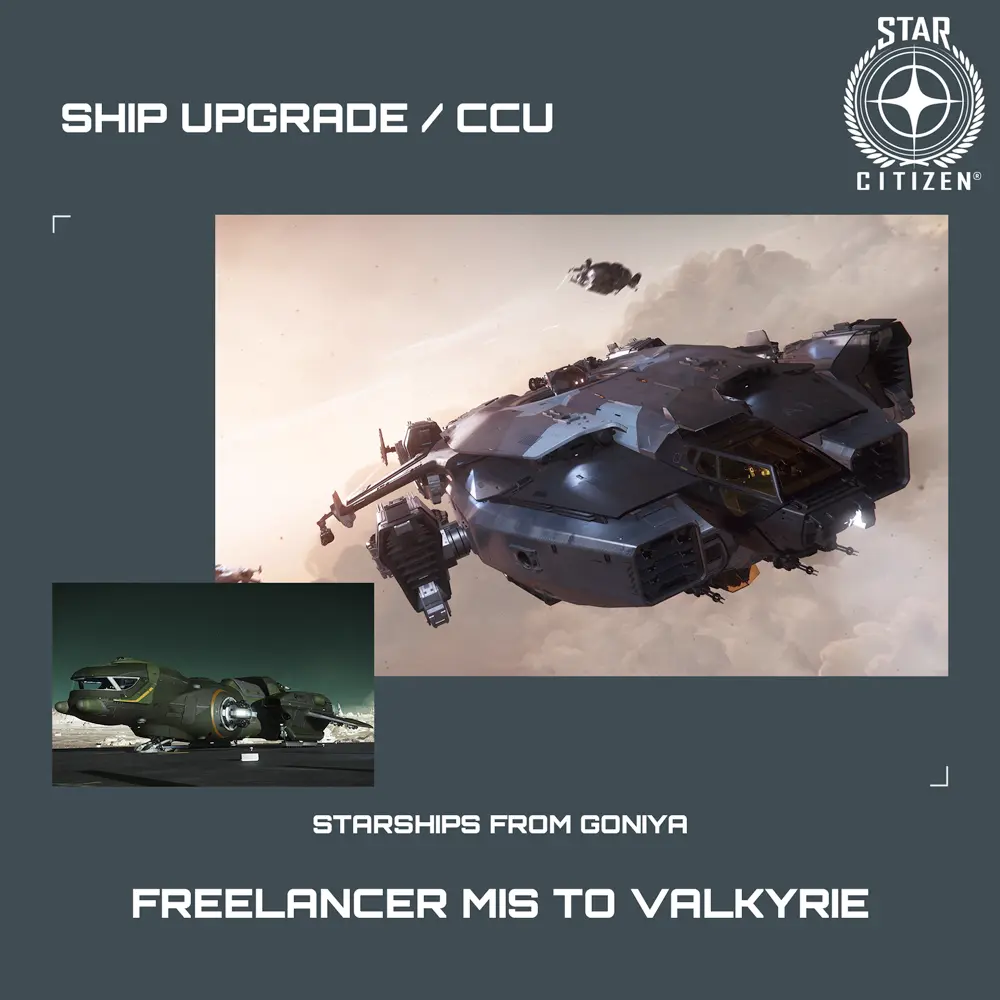 Freelancer MIS to Valkyrie