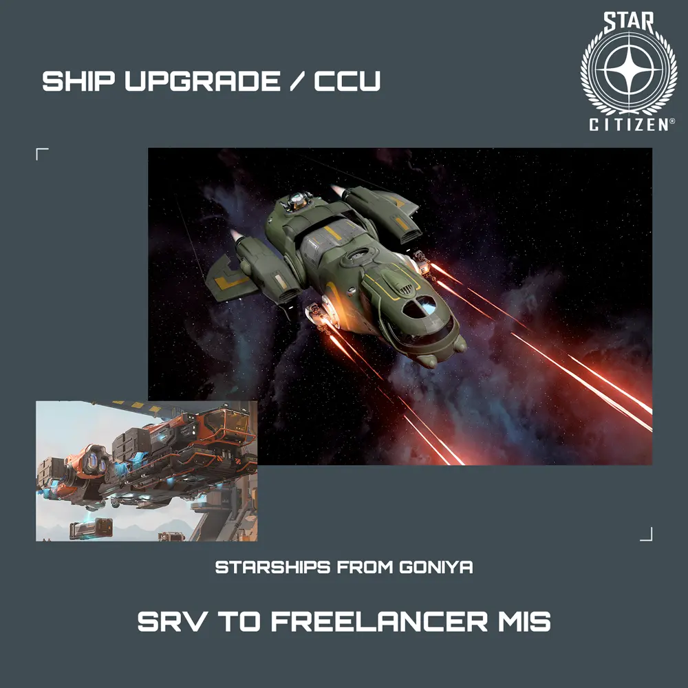 SRV to Freelancer MIS