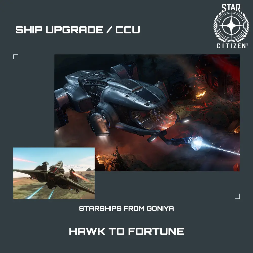 Hawk to Fortune