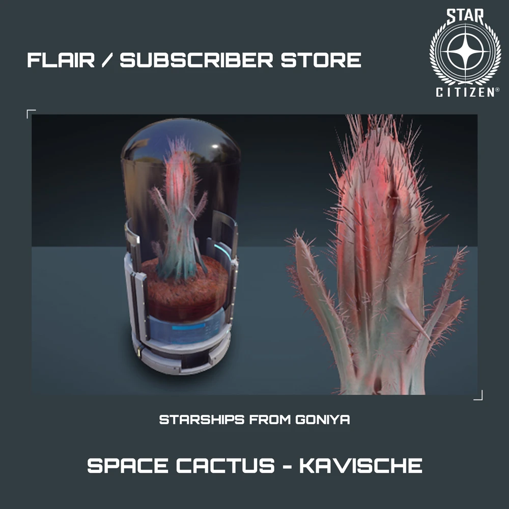 Space Cactus - Kavische