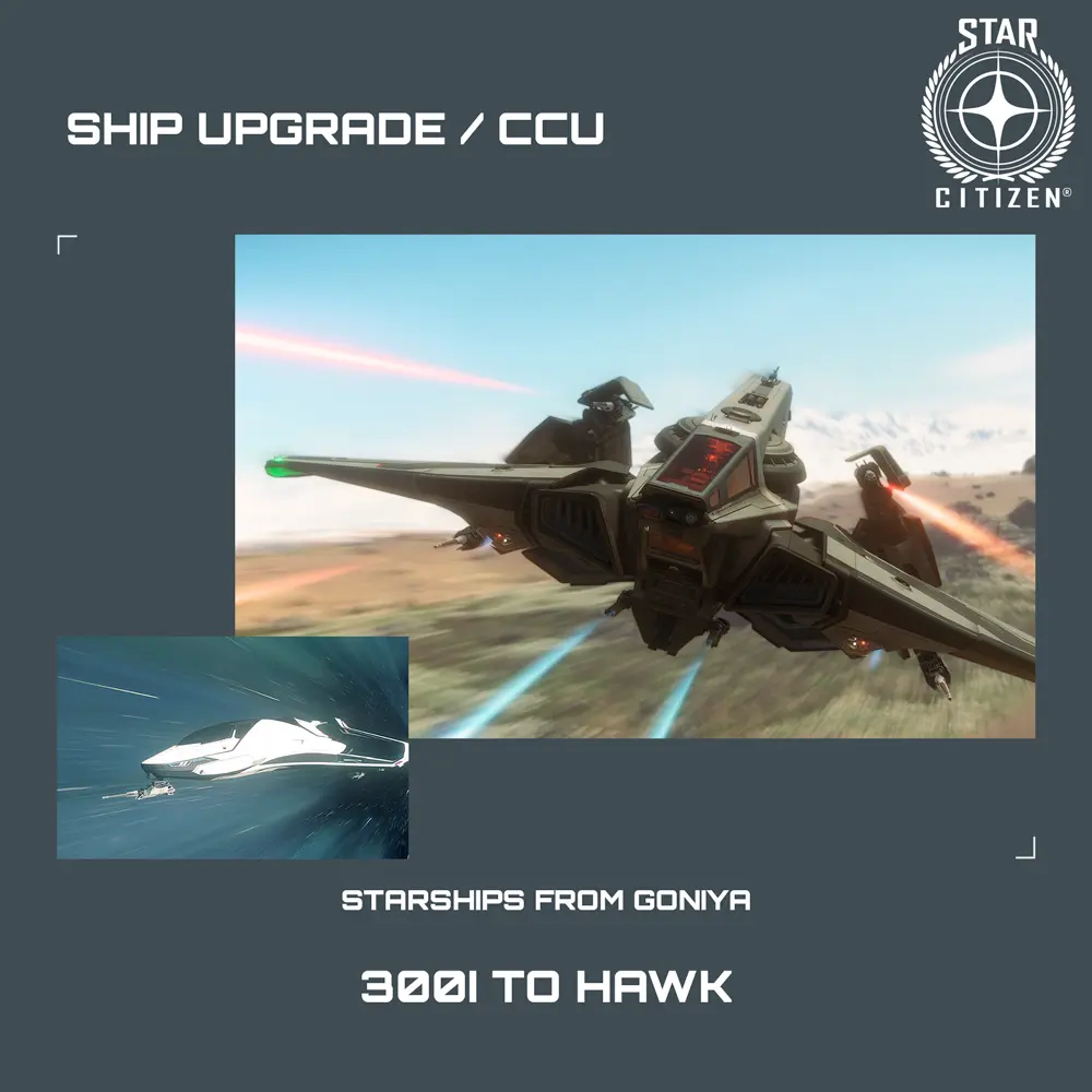300i to Hawk