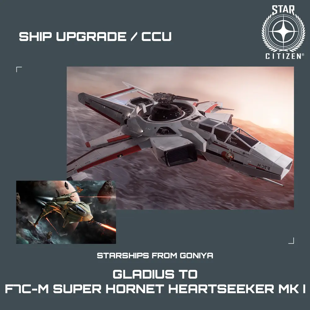 Gladius to F7C-M Super Hornet Heartseeker MK I