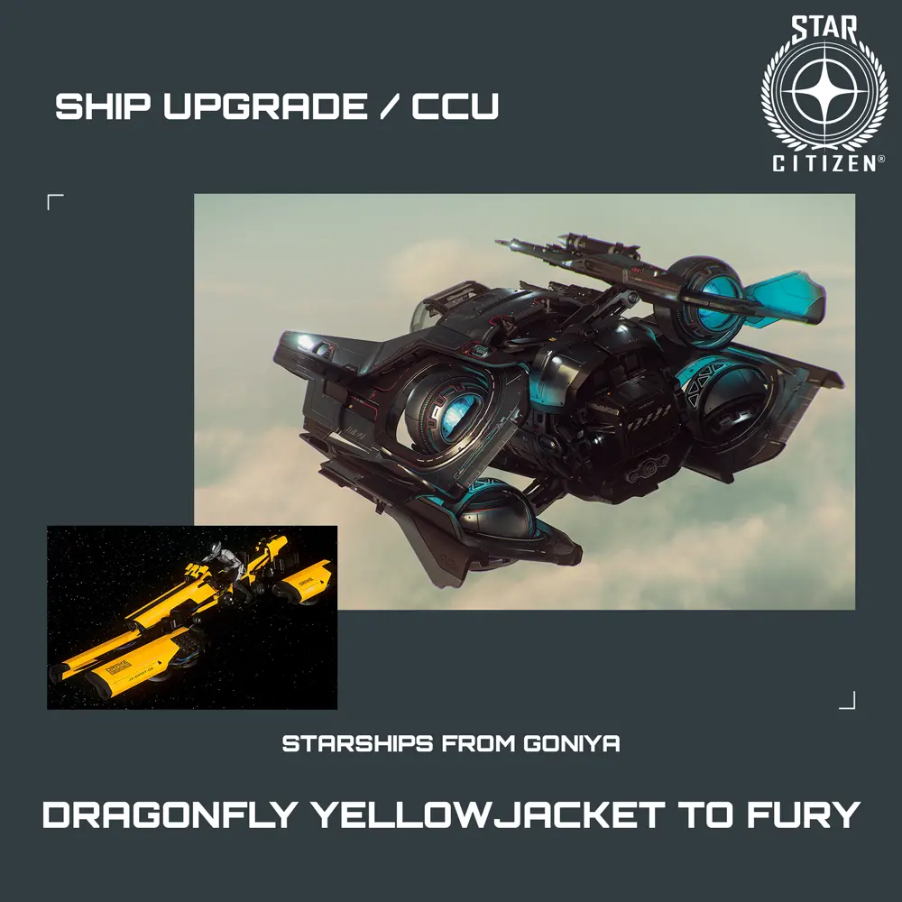 Dragonfly Yellowjacket to Fury