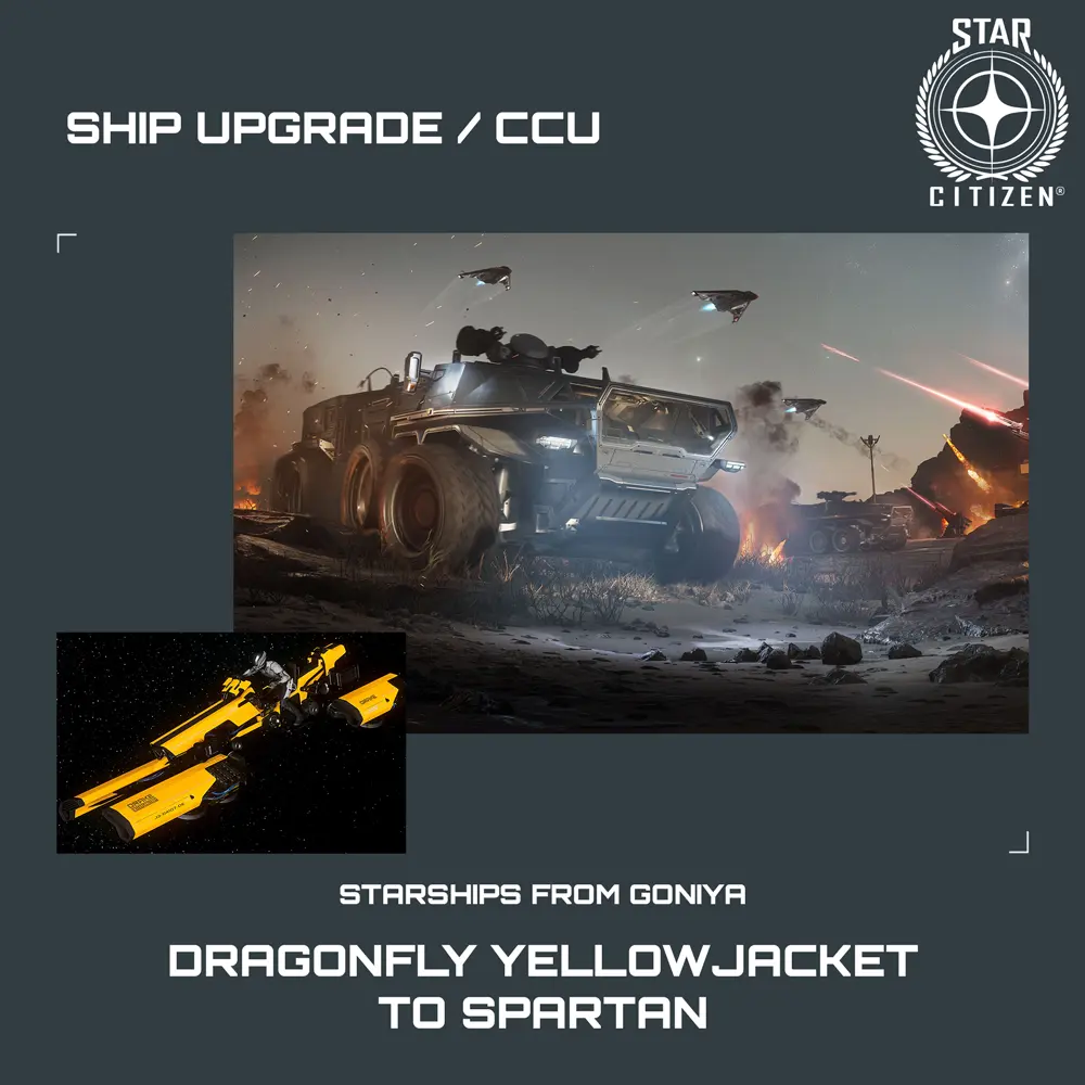 Dragonfly Yellowjacket to Spartan