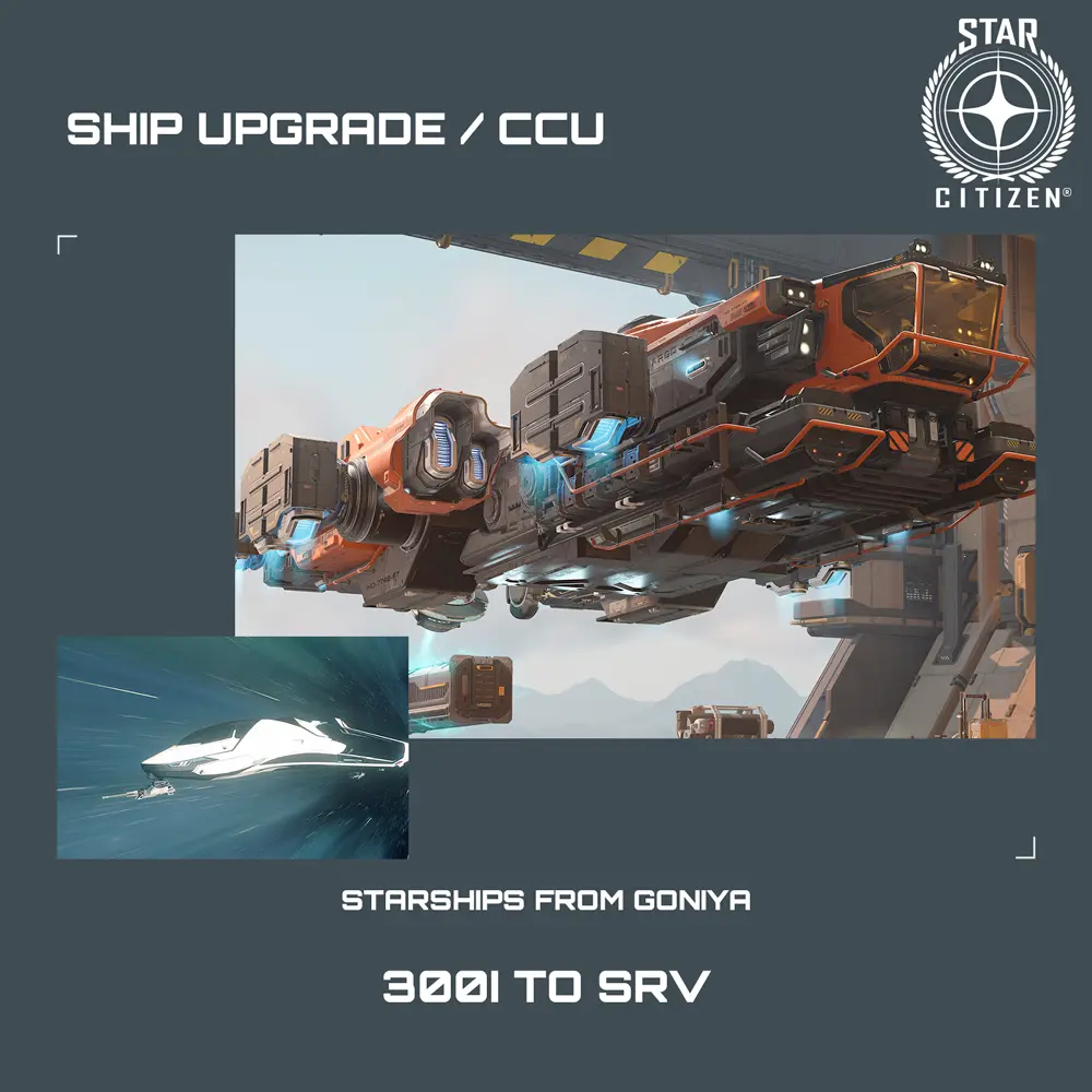 300i to SRV