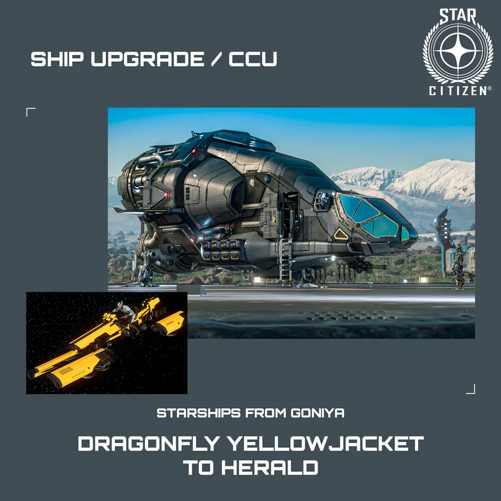 Dragonfly Yellowjacket to Herald