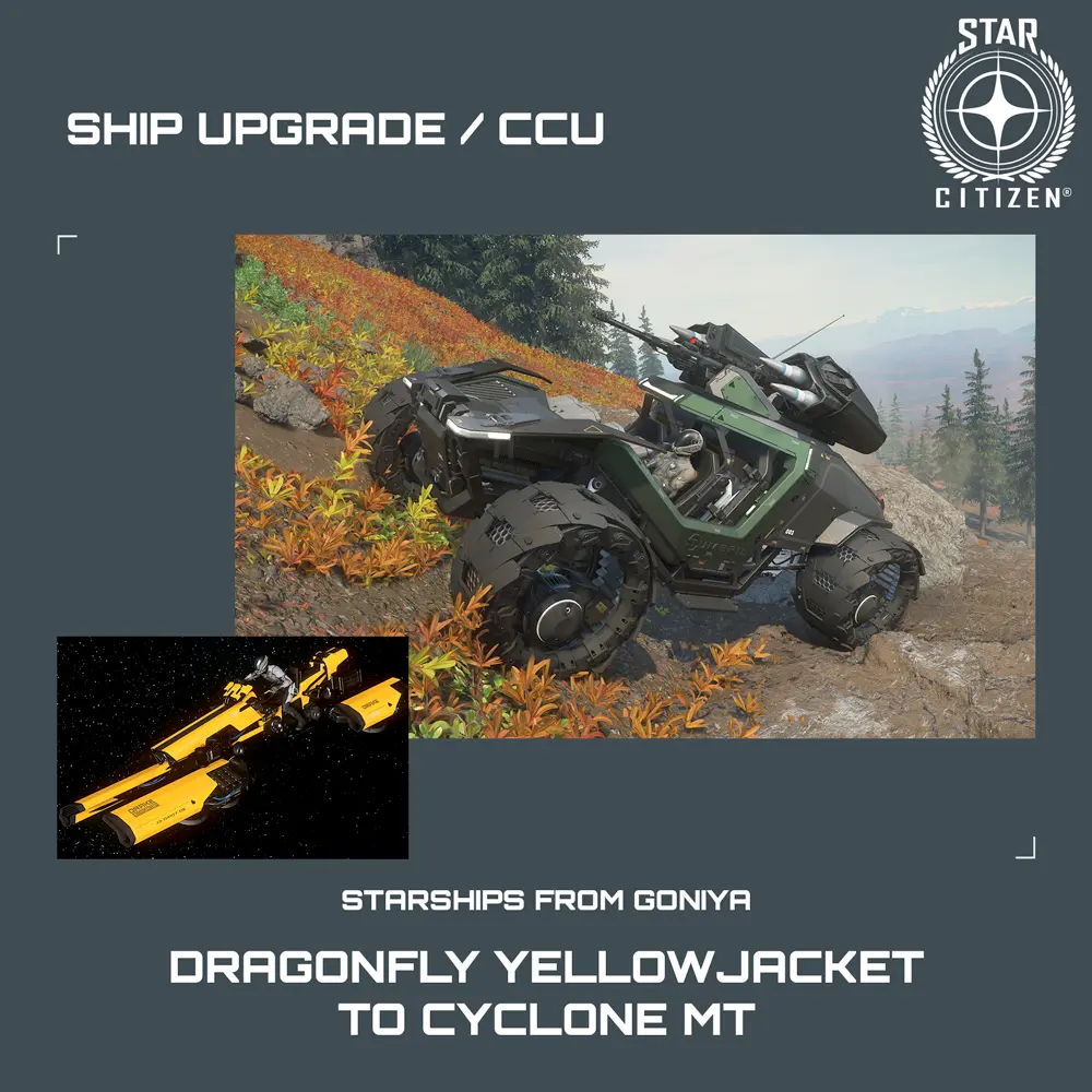 Dragonfly Yellowjacket to Cyclone MT
