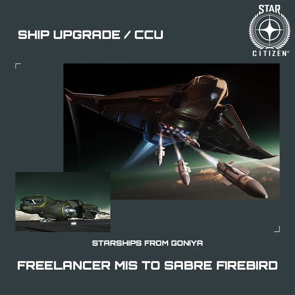 Freelancer MIS to Sabre Firebird