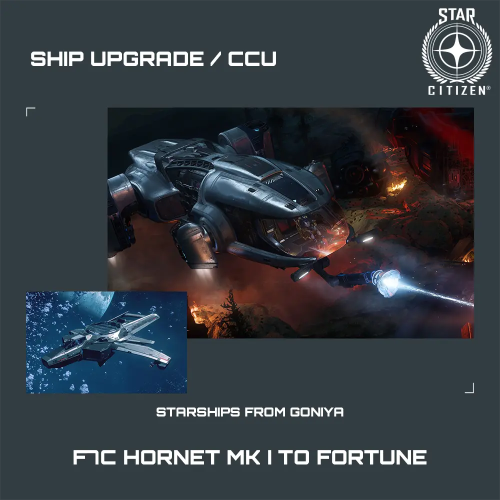 F7C Hornet MK I to Fortune