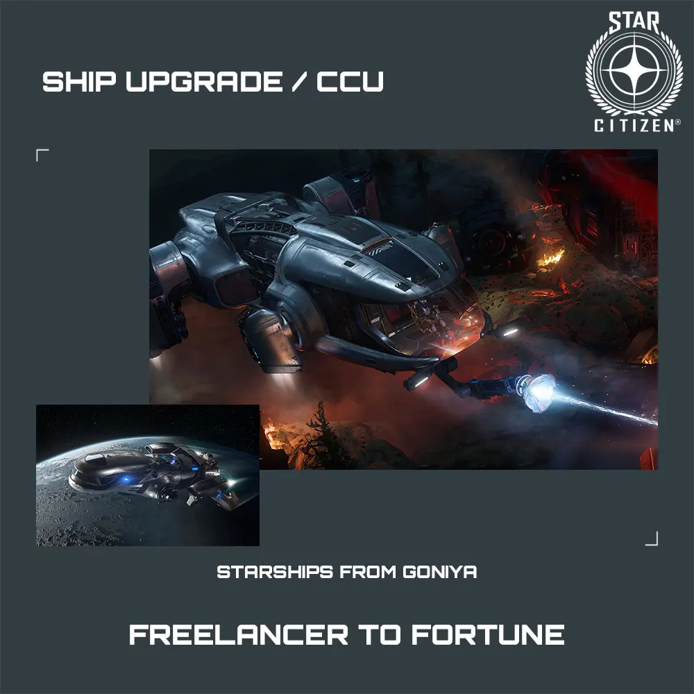 Freelancer to Fortune