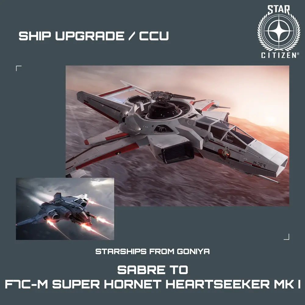 Sabre to F7C-M Super Hornet Heartseeker MK I