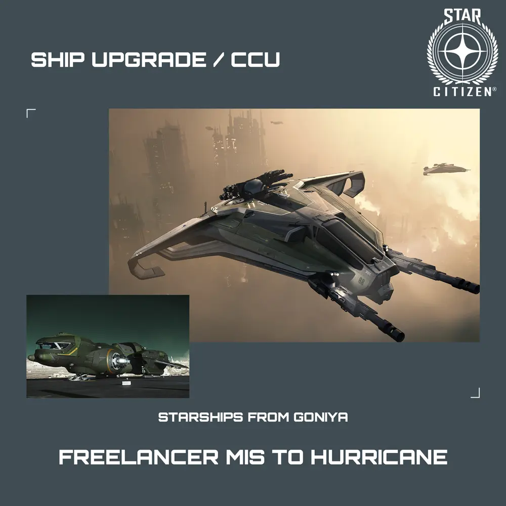 Freelancer MIS to Hurricane