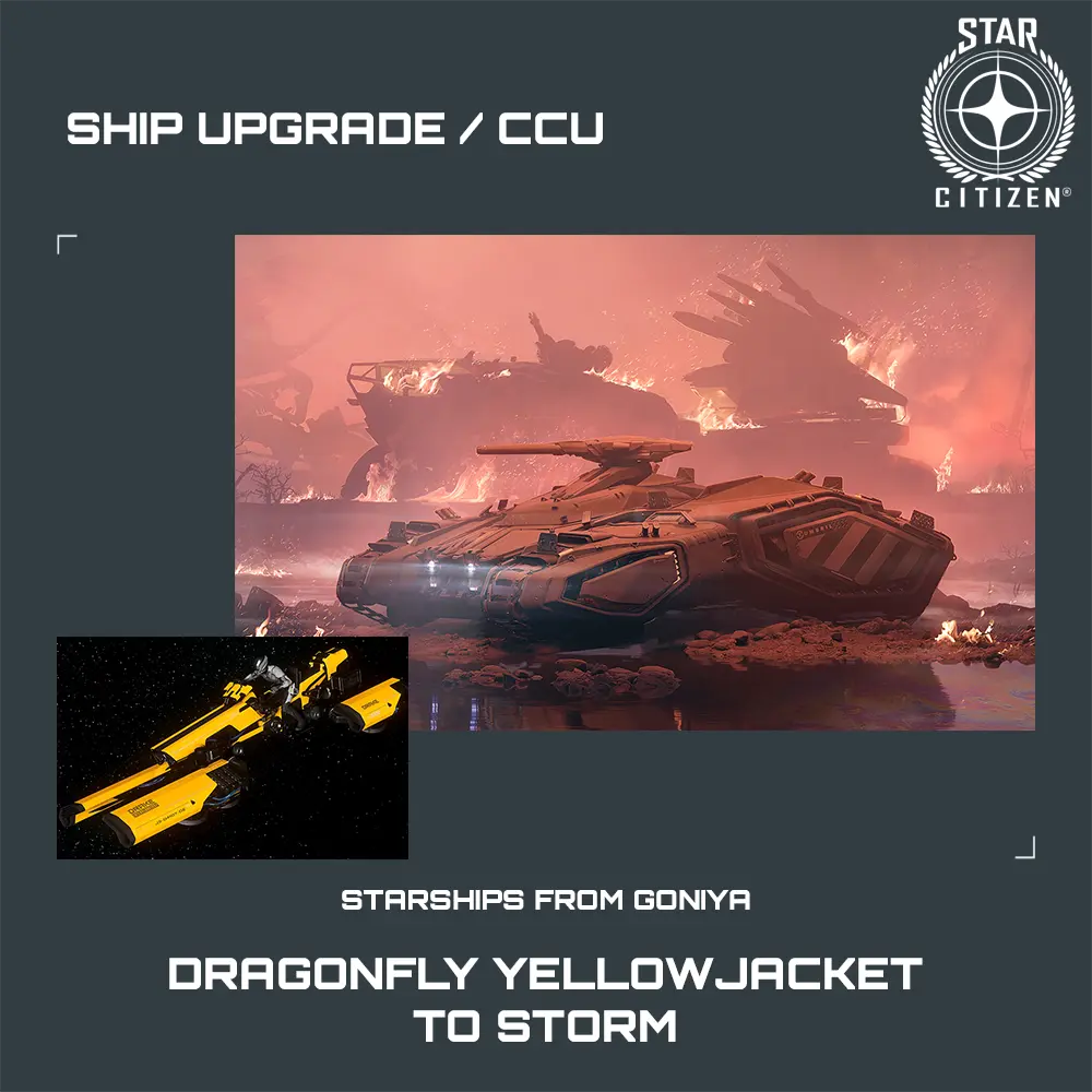 Dragonfly Yellowjacket to Storm