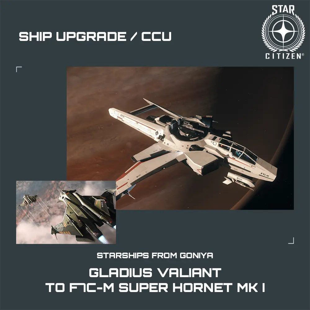 Gladius Valiant to F7C-M Super Hornet MK I