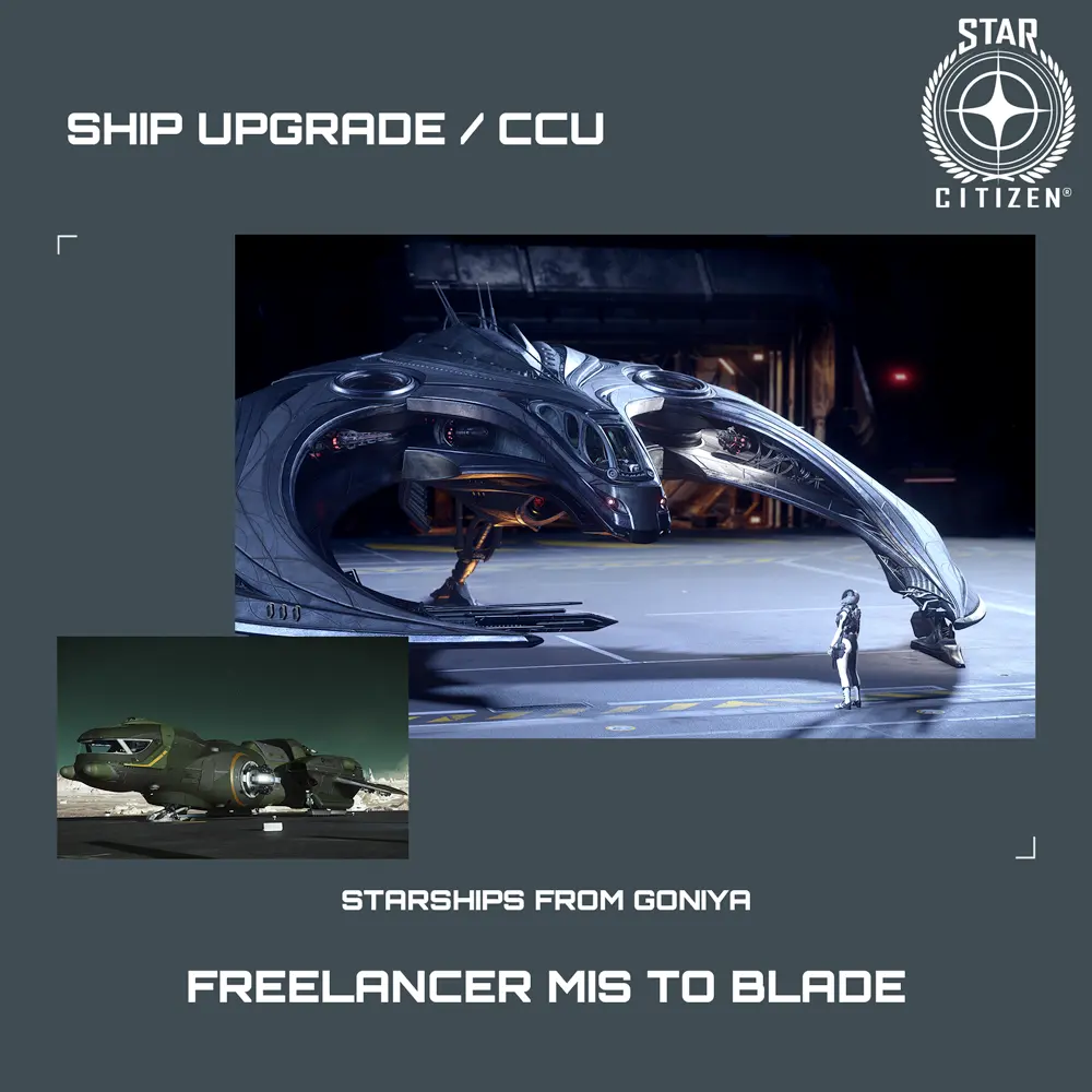 Freelancer MIS to Blade