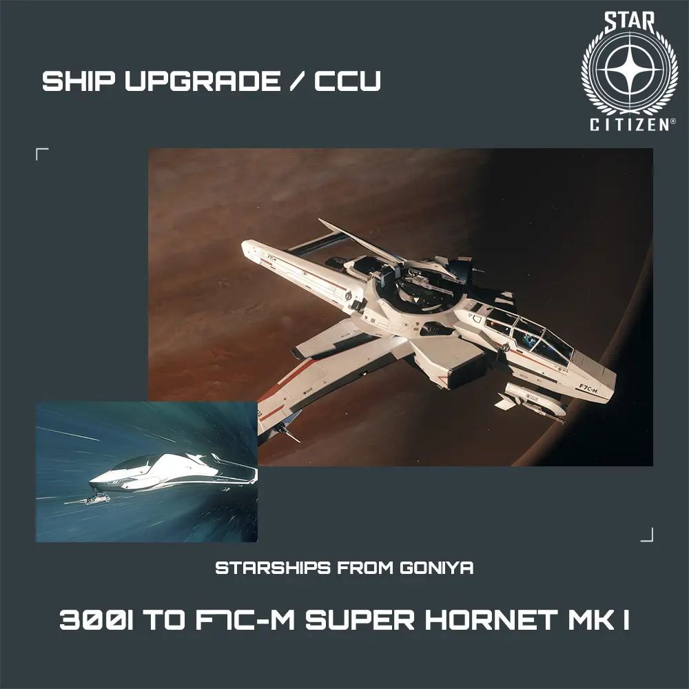 300i to F7C-M Super Hornet MK I