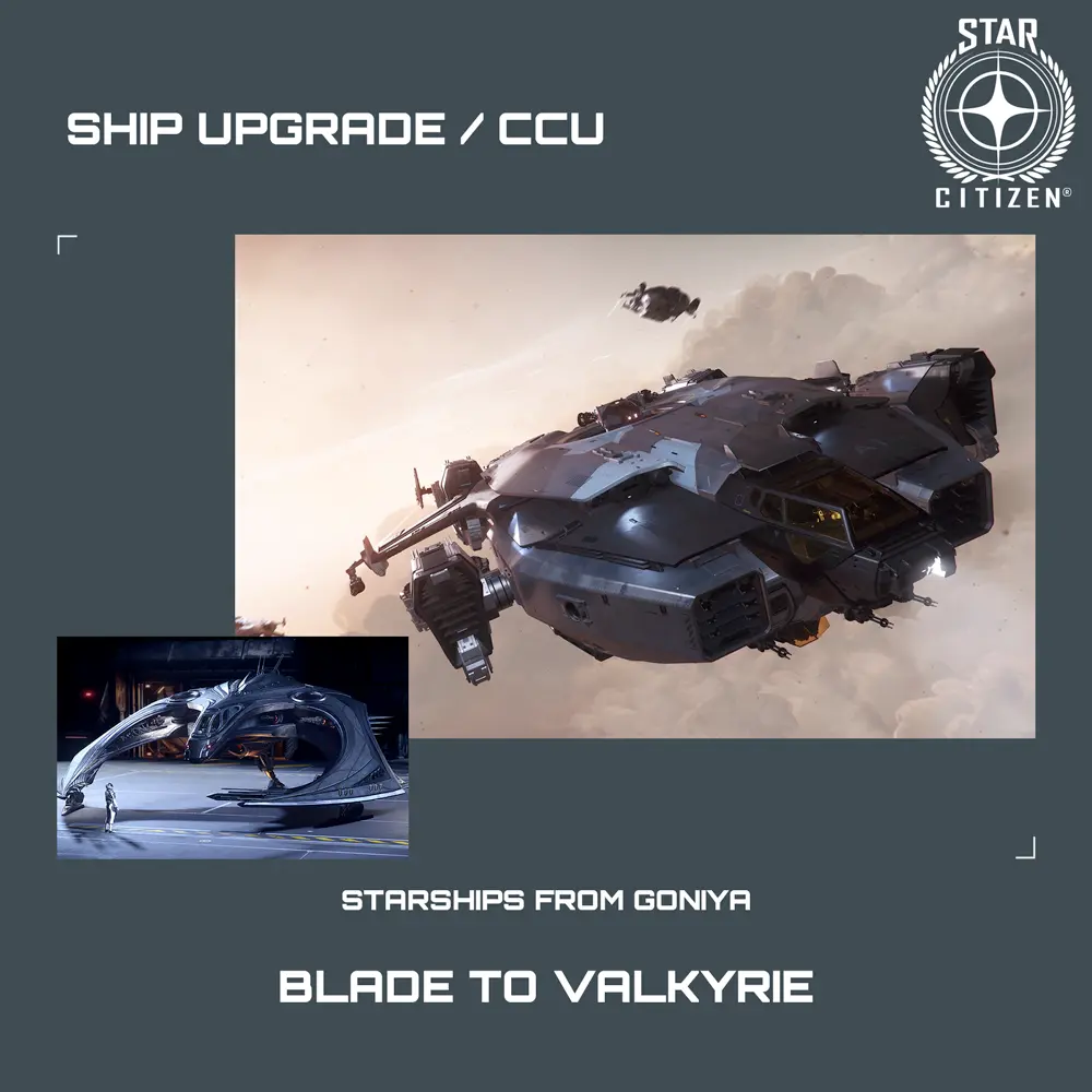Blade to Valkyrie