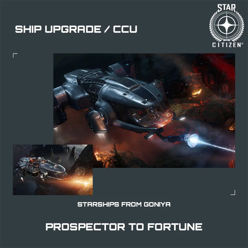 Prospector to Fortune