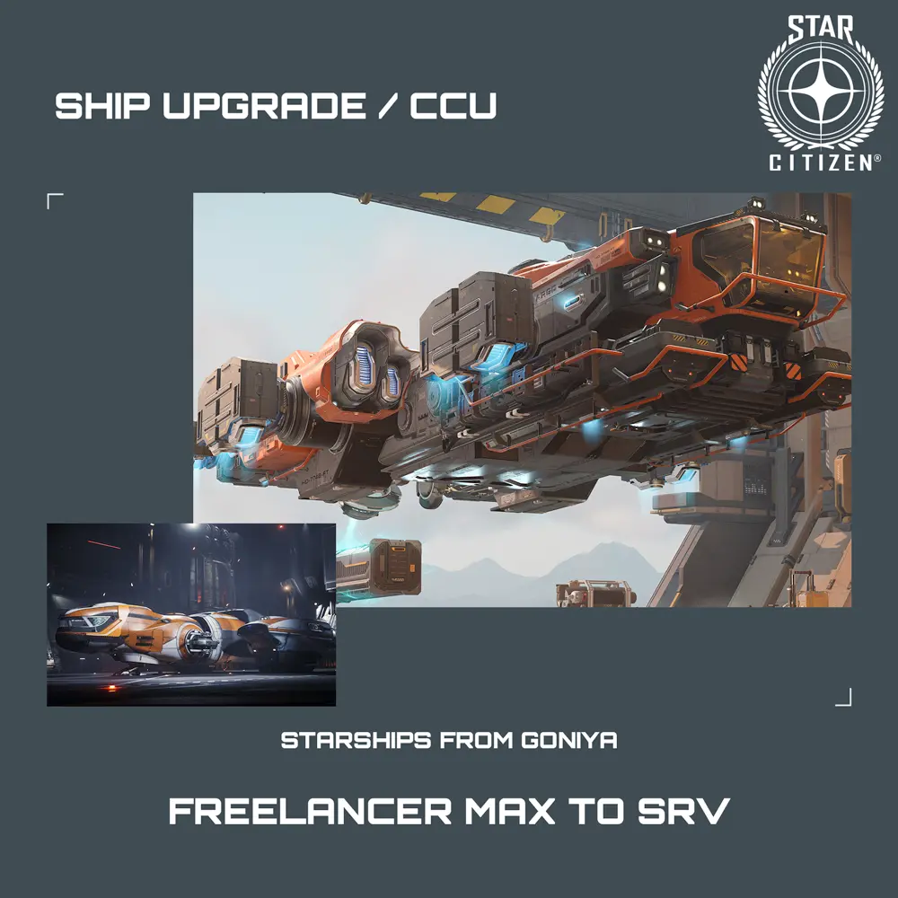 Freelancer MAX to SRV